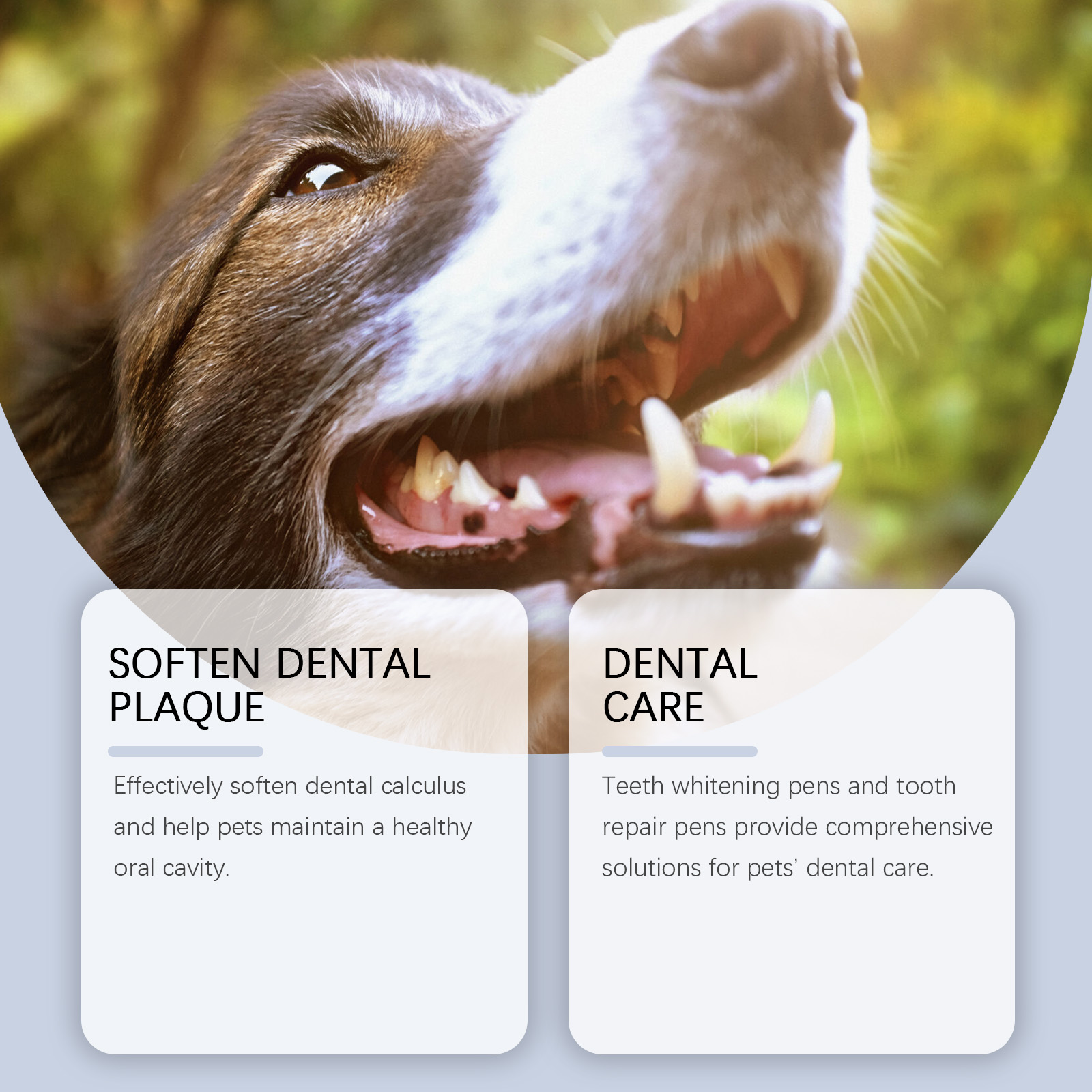 Pet Teeth Whitening Pen Set fo - Teeth Whitening Pens review and price