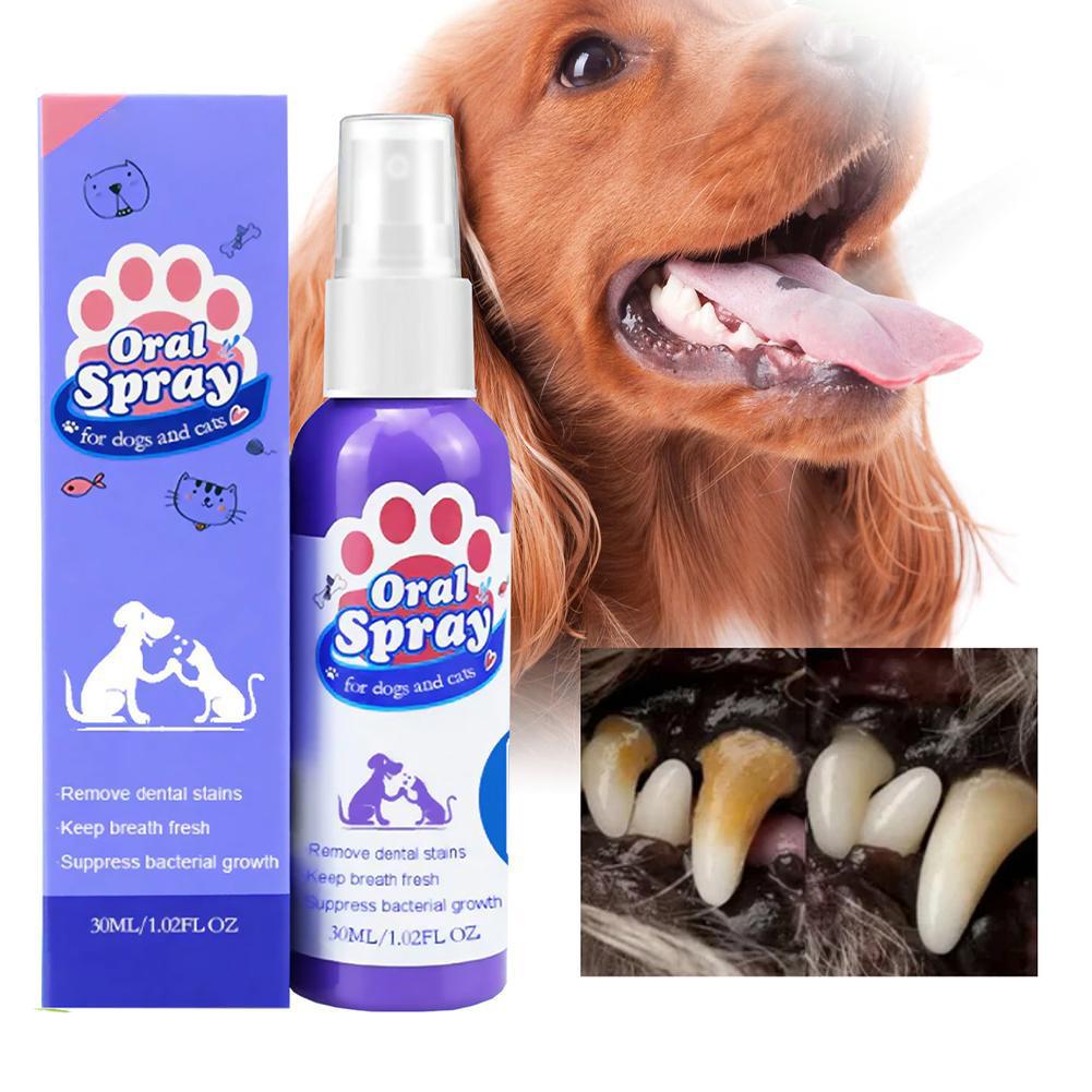 Pet Mouth Spray,Fresh Breath & - Teeth Whitening Mouthwash review and price