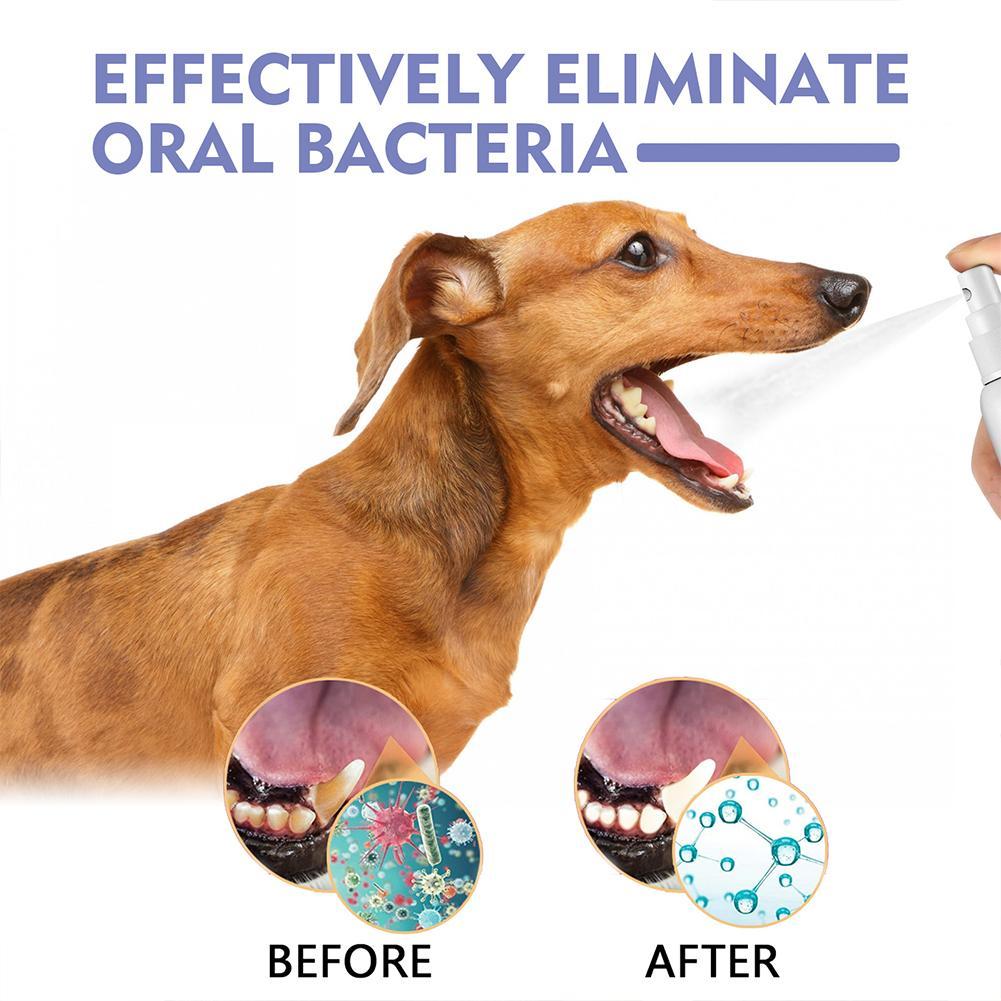 Pet Mouth Spray,Fresh Breath & - Teeth Whitening Mouthwash review and price
