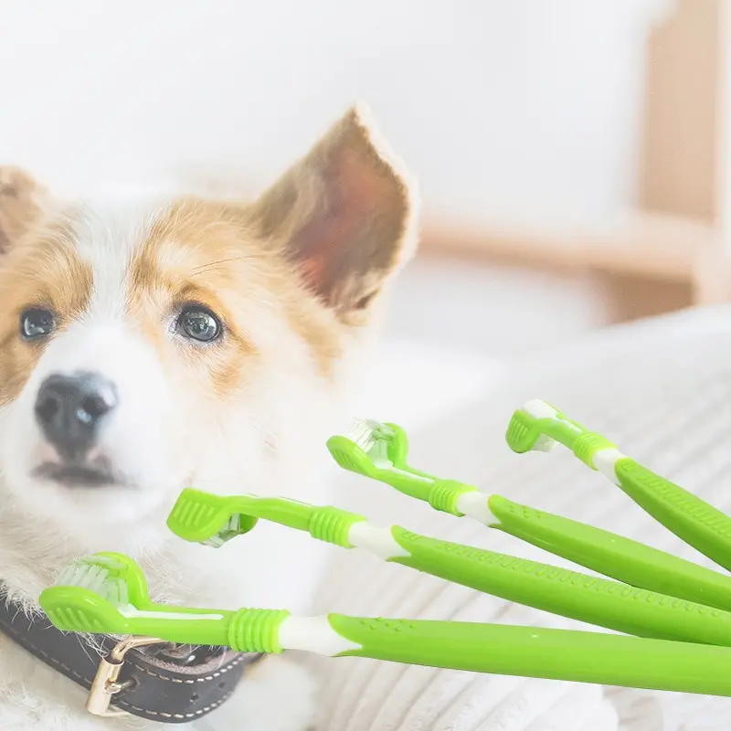 1Pc Pet Toothbrush Dog Cleanin - Teeth Whitening Mouthwash review and price